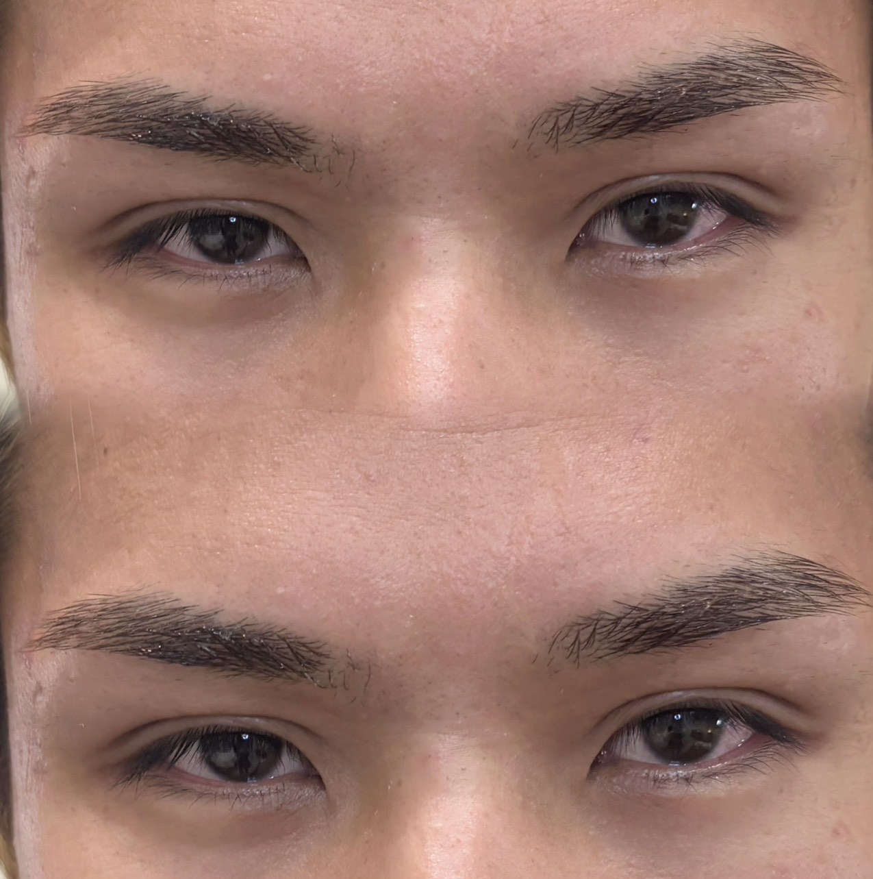 men’sアイブロウ